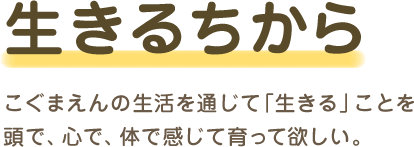 生きるちから：こぐまえんの生活を通じて「生きる」ことを頭で、心で、体で感じて育って欲しい。