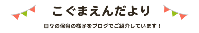 こぐまえんだより 日々の保育の様子をご紹介しています！