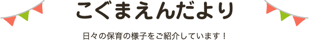 こぐまえんだより 日々の保育の様子をご紹介しています！